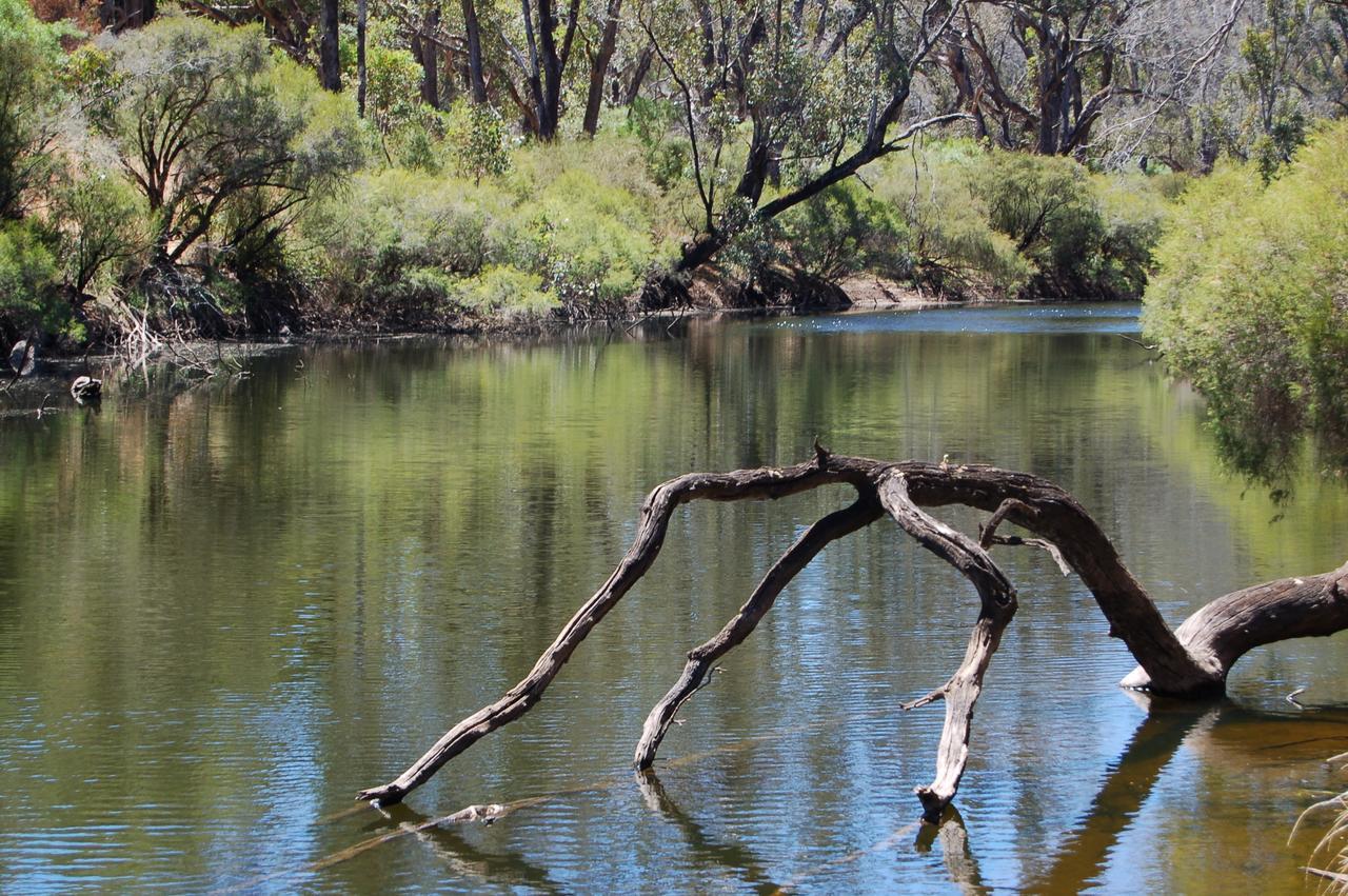 Beyonderup Falls Adult Retreat Nannup Chambre photo